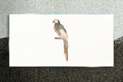 Drawing animal bird parrot Glass Print