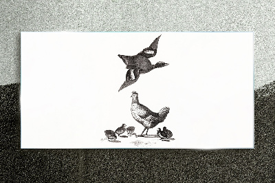 Drawing animals birds Glass Print