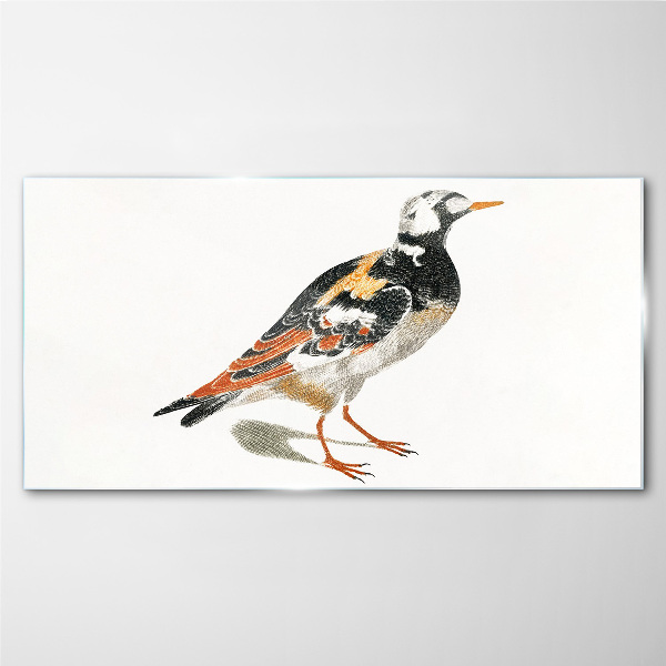 Bird on a white background Glass Print