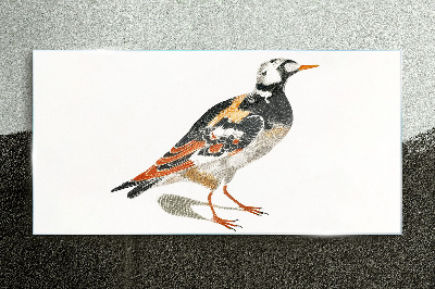 Bird on a white background Glass Print