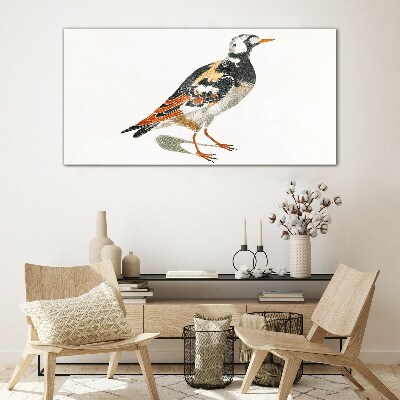 Bird on a white background Glass Print