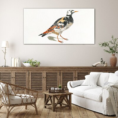 Bird on a white background Glass Print