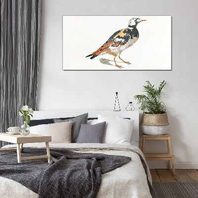 Bird on a white background Glass Print