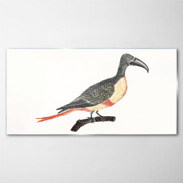 Toucan on a branch Glass Print