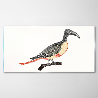 Toucan on a branch Glass Print