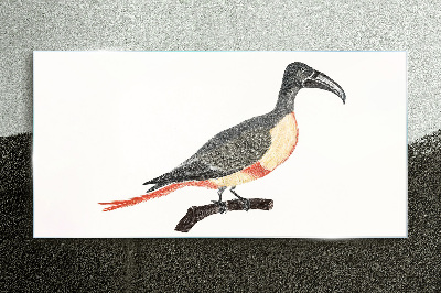 Toucan on a branch Glass Print