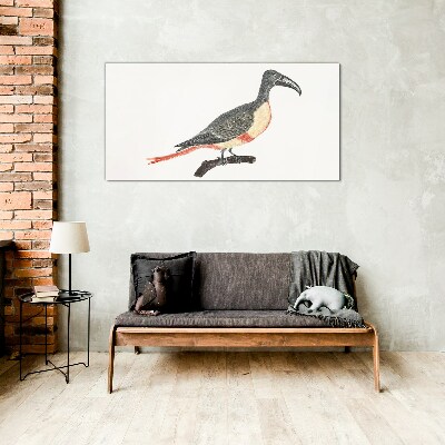 Toucan on a branch Glass Print