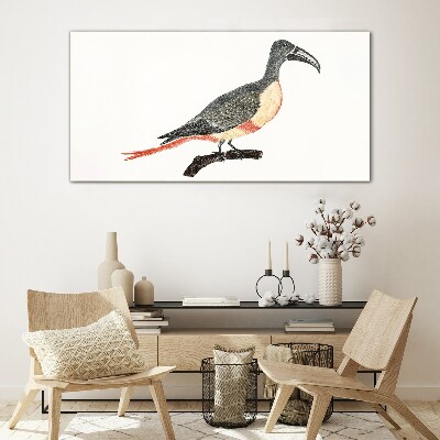 Toucan on a branch Glass Print