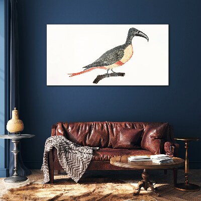 Toucan on a branch Glass Print