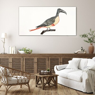 Toucan on a branch Glass Print