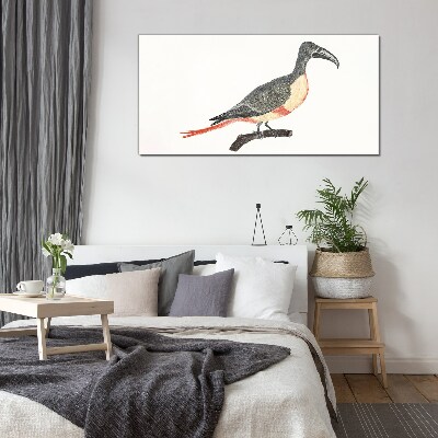 Toucan on a branch Glass Print