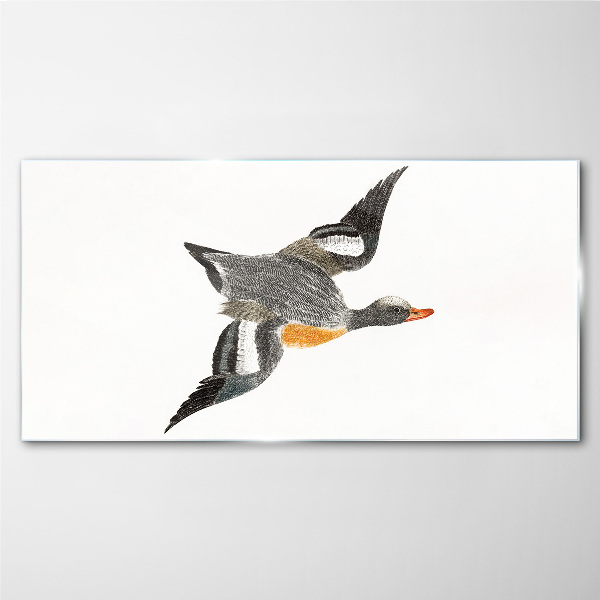 Flying goose in the colors of nature Glass Print