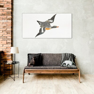 Flying goose in the colors of nature Glass Print