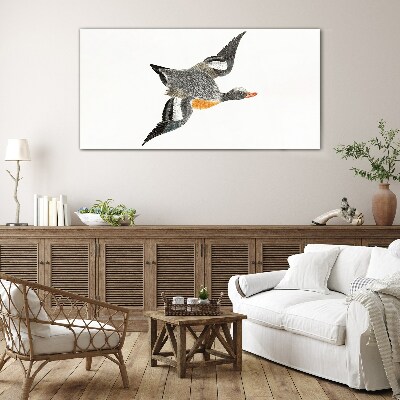 Flying goose in the colors of nature Glass Print