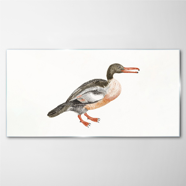 Duck on a white canvas background Glass Print