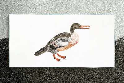 Duck on a white canvas background Glass Print