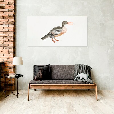 Duck on a white canvas background Glass Print