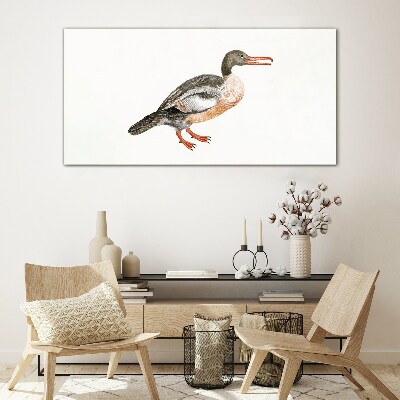 Duck on a white canvas background Glass Print