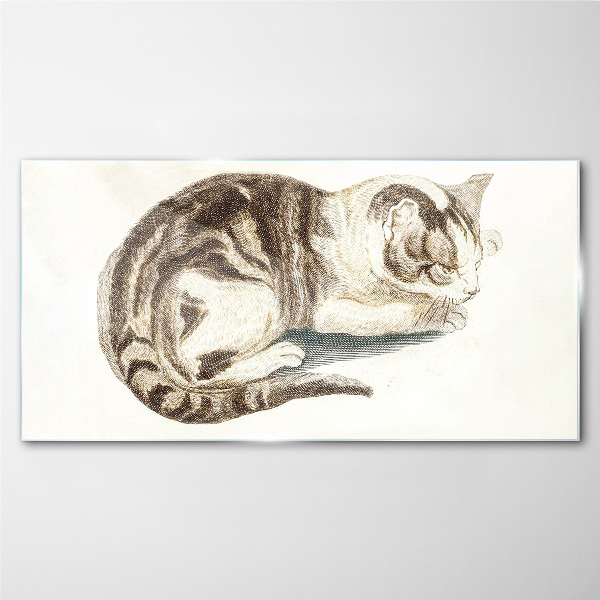 Sleepy cat on white background Glass Print