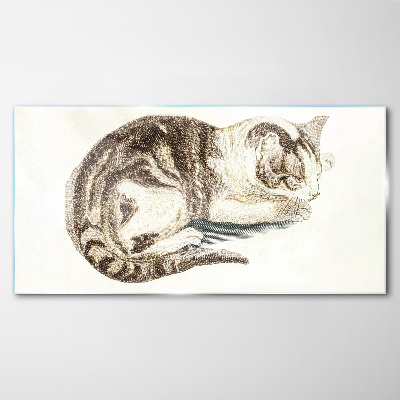 Sleepy cat on white background Glass Print