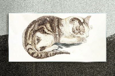 Sleepy cat on white background Glass Print