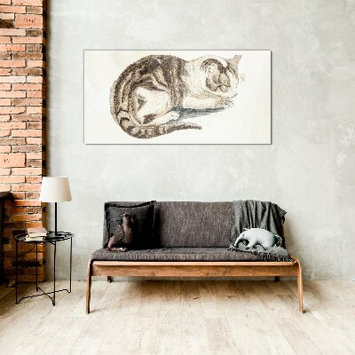 Sleepy cat on white background Glass Print