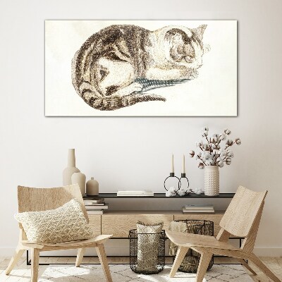 Sleepy cat on white background Glass Print