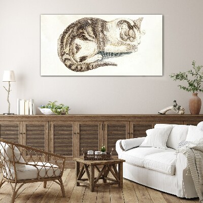 Sleepy cat on white background Glass Print