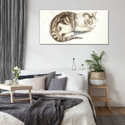 Sleepy cat on white background Glass Print