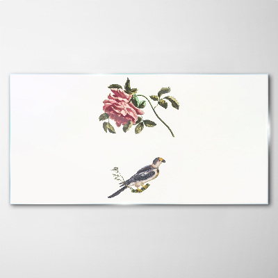 Rose and bird on a white background Glass Print