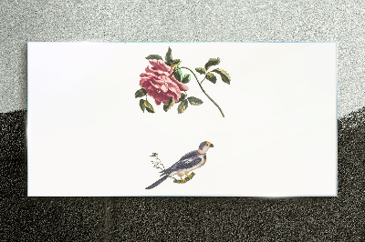 Rose and bird on a white background Glass Print