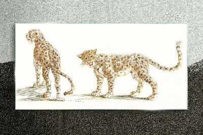 Pets cats leopards Glass Print