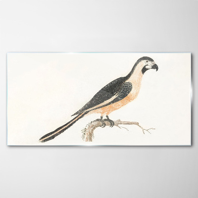Bird on a branch Glass Print
