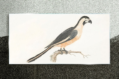 Bird on a branch Glass Print