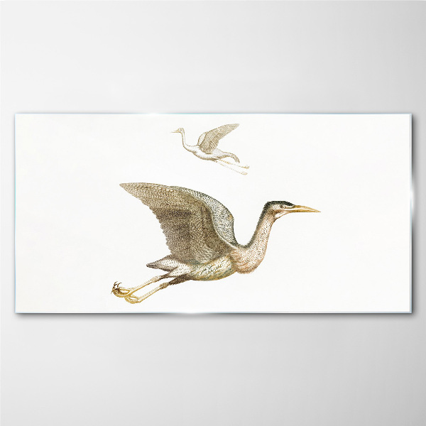 Bird's flight over calm water Glass Print