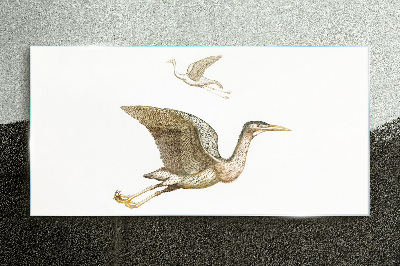 Bird's flight over calm water Glass Print
