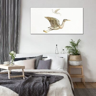 Bird's flight over calm water Glass Print