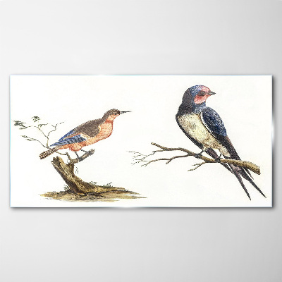 Birds on a branch Glass Print