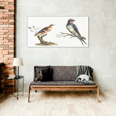 Drawing animals birds Glass Print