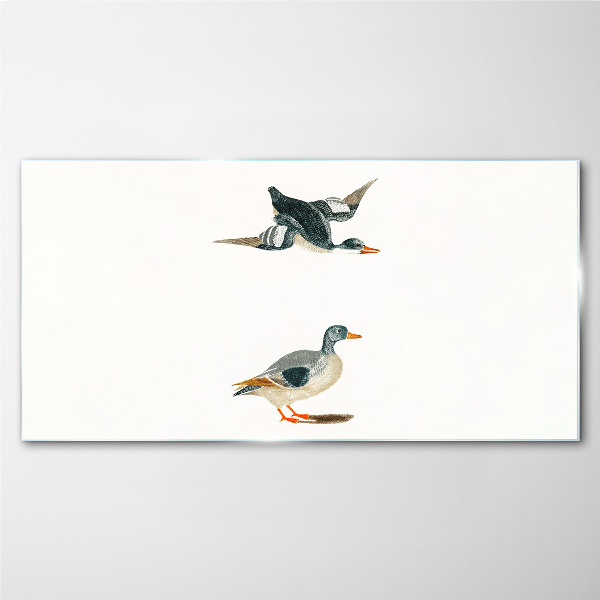 Waterbirds in flight and on the ground Glass Print