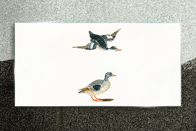 Waterbirds in flight and on the ground Glass Print