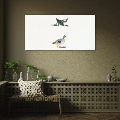 Waterbirds in flight and on the ground Glass Print