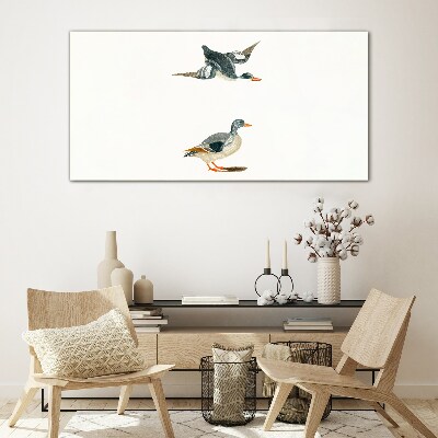 Waterbirds in flight and on the ground Glass Print