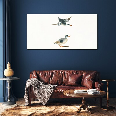 Waterbirds in flight and on the ground Glass Print