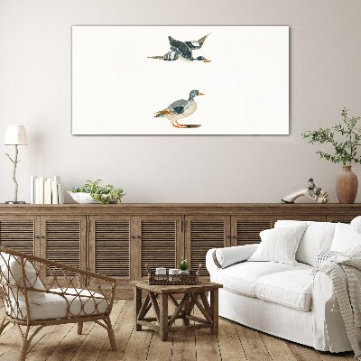 Waterbirds in flight and on the ground Glass Print