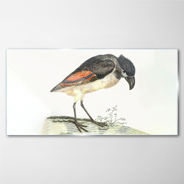 A bird against a natural background Glass Print