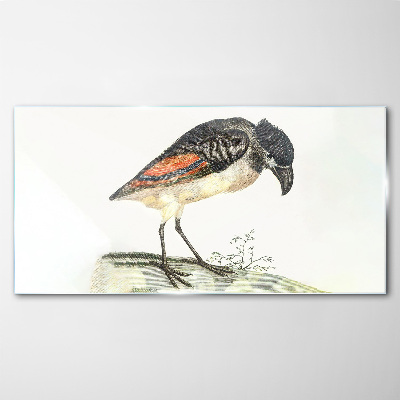A bird against a natural background Glass Print