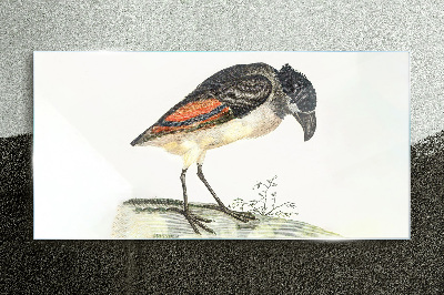 Drawing animal bird Glass Print