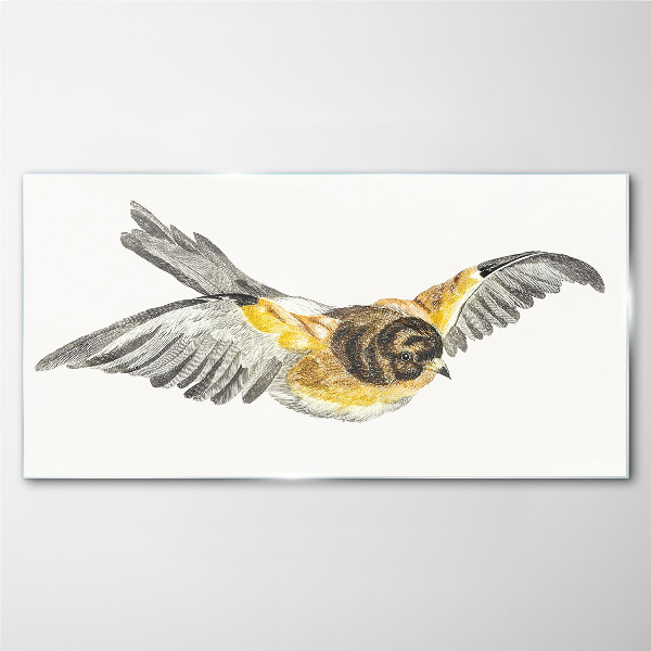 The majestic flight of a bird Glass Print