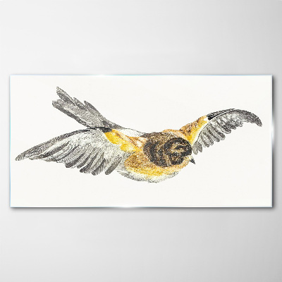 The majestic flight of a bird Glass Print
